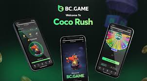 Exploring BC.Game A New Era in Online Casino Gaming